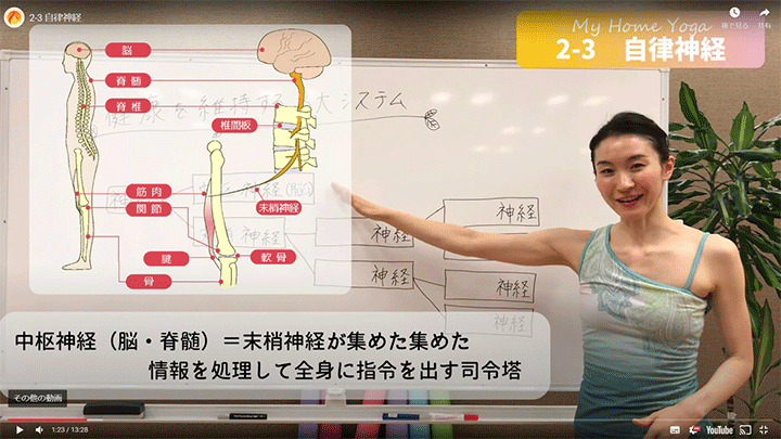 ホームヨガアドバイザー資格動画